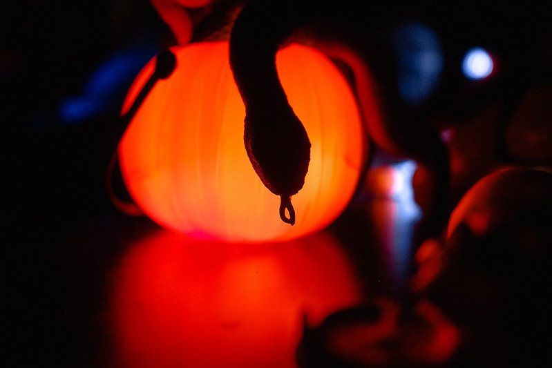 Украшение дома паутиной и летучими мышами к Хэллоуину в Arkhangelsk